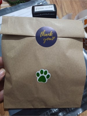 Dekals 50 Adet 15X24 Orta Boy Kraft Hediye Paketi Ambalaj Poşeti Şamua Kese Kağıdı