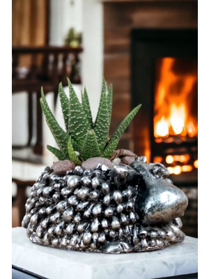 Viselia Premium Saksı Minyatür Dekoratif Kaktüs Sukulent Saksısı Model 6