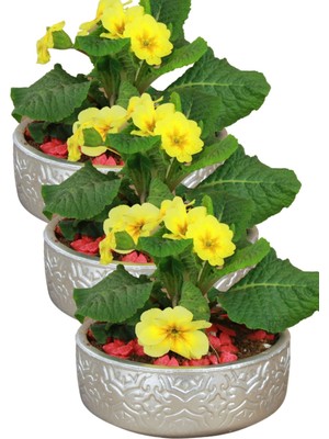 Kaktüs Saksı Dünyası El Yapımı Saksı Seti Premium Kalite 3 Adet Dekoratif Saksı Model 2