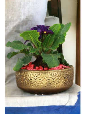 Kaktüs Saksı Dünyası El Yapımı Saksı Premium Kalite Dekoratif Saksı Model 2