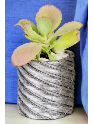 Kaktüs Saksı Dünyası El Yapımı Saksı Dekoratif Saksı Küçük Boy Model 37