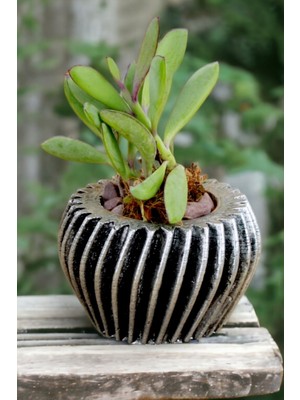 Kaktüs Saksı Dünyası El Yapımı Saksı Dekoratif Saksı Küçük Boy Model 13