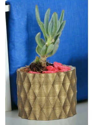 Kaktüs Saksı Dünyası El Yapımı Saksı Dekoratif Saksı Küçük Boy Model 16