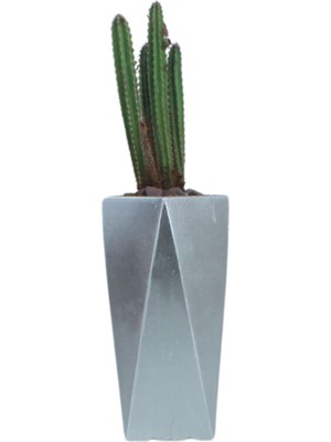Evene Çiçek Saksısı Uzun Beton Saksı Model 1