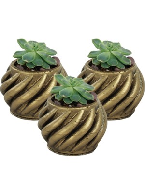 Stein Kohle Dekoratif Saksı Minik Kaktüs Saksısı Renk 3 Adet Saksı Seti Kalın Çizgili Spiral Model