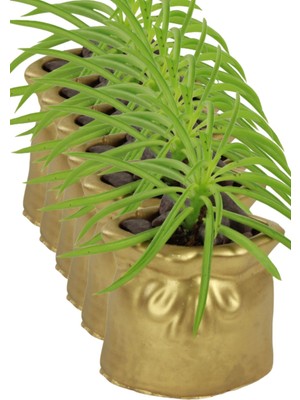 Kaktüs Saksı Dünyası El Yapımı Saksı Seti Dekoratif 6 Adet Saksı Küçük Boy Model 14