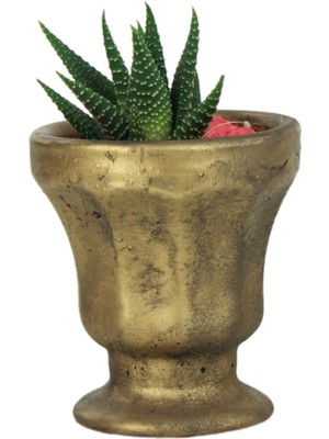 Evene Saksı Kaktüs Saksısı Dekoratif Saksı Model 1