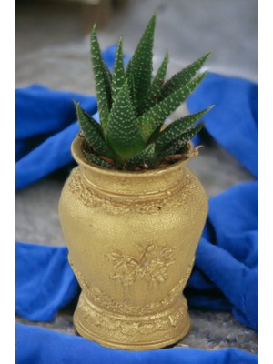 Kaktüs Saksı Dünyası El Yapımı Saksı Dekoratif Saksı Küçük Boy Model 24