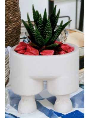 Kaktüs Saksı Dünyası El Yapımı Saksı Premium Kalite Dekoratif Saksı Pantolonlu