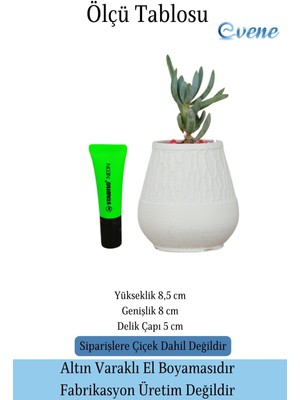 Evene Kaktüs Saksısı Dekoratif Saksı Model 17