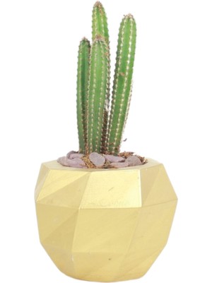 Evene Saksı Çiçek Kaktüs Saksısı Lüx 13 cm Varak Boyalı Burgu Desen Saksı Çiçeklik