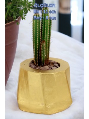 Kaktüs Saksı Dünyası El Yapımı Saksı Premium Kalite Dekoratif Saksı Kalın Çapraz Çizgili