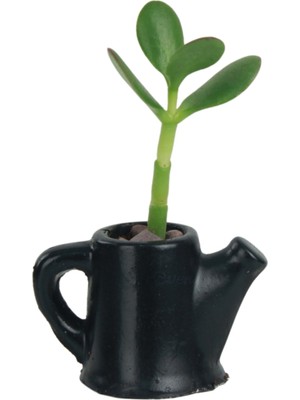 Evene Mini Çiçek Saksısı Küçük Sukulent Kaktüs Saksı Çaydanlık Model