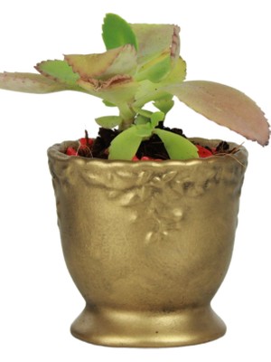 Evene Kaktüs Saksısı Dekoratif Saksı Model 6