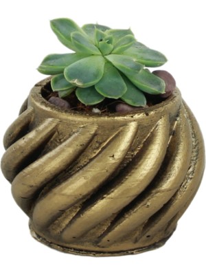 Stein Kohle Dekoratif Saksı Minik Kaktüs Saksısı Renk 1 Adet Derin Çizgili Spiral Model