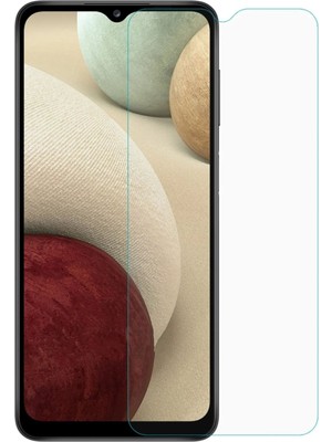 Royaleks Samsung Galaxy A02 Uyumlu Premium Ekran Koruyucu 9h Sert Temperli Kırılmaz Cam Koruma Şeffaf
