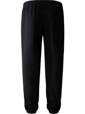 The North Face M Half Dome Sweatpant Erkek Pantolon NF0A7UODOBT1