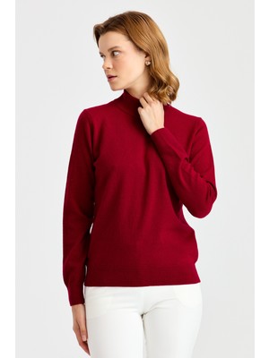 Desen Triko Kadın Yarım Balıkçı Yaka Klasik Bluz Vişne