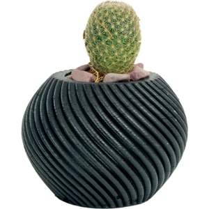 Mini Çiçek Saksısı Küçük Sukulent Kaktüs Saksı Ince Çizgili Spiral Model