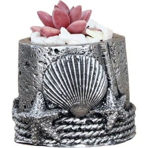 Mini Çiçek Saksısı Küçük Sukulent Kaktüs Saksı Deniz Yıldızlı Istiridye Model