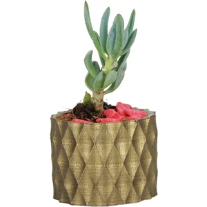 Mini Çiçek Saksısı Küçük Sukulent Kaktüs Saksı Baklava Model