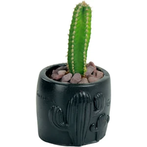 Mini Çiçek Saksısı Küçük Sukulent Kaktüs Desenli Model
