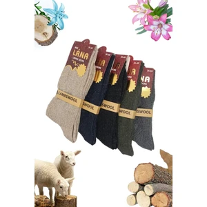 Kadın Kışlık (5 ÇİFT) Lambswool Termal Etkili Yün Çorap