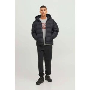 Jack & Jones Erkek Elements Pu Puffer Mont