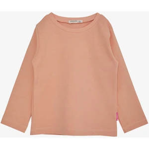 BREEZE Kız Çocuk Uzun Kollu Tişört Basic 1-4 Yaş, Somon