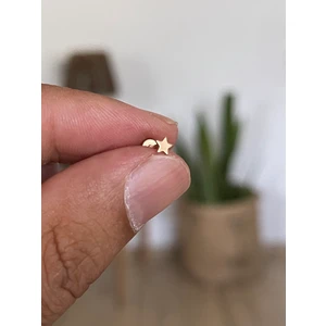 Rupen Kraft 316 L Cerrahi Çelik Tragus Helix Kıkırdak Conch Minik Yıldız Piercing