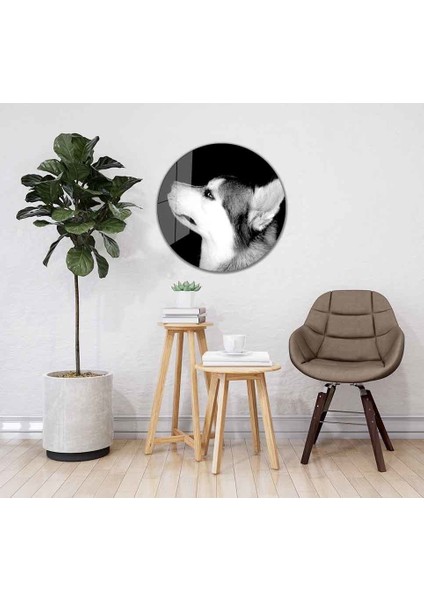 Kurt Yuvarlak Cam Tablo 4mm Dayanıklı Temperli Cam fiyatları