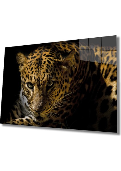 Leopar Hayvan Cam Tablo