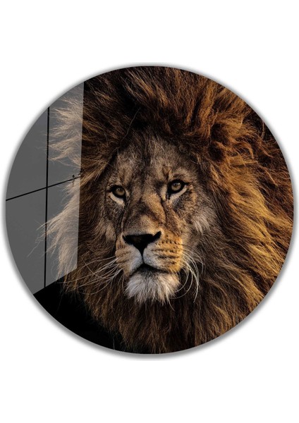 Aslan Yuvarlak Cam Tablo 4mm Dayanıklı Temperli Cam