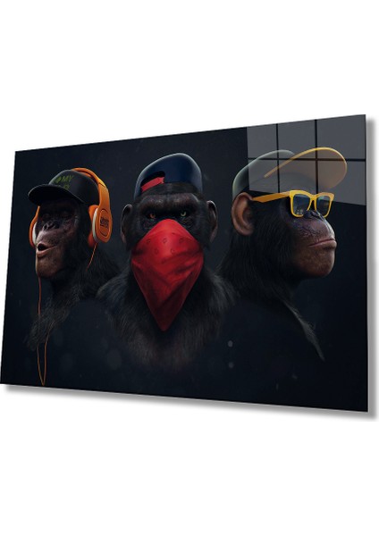 Maymunlar Cam Tablo