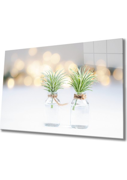 Ot Şişe Cam Tablo