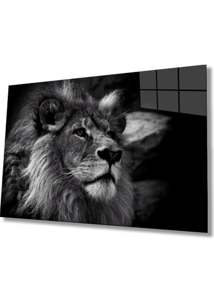 Aslan Hayvan Cam Tablo 4mm Dayanıklı Temperli Cam