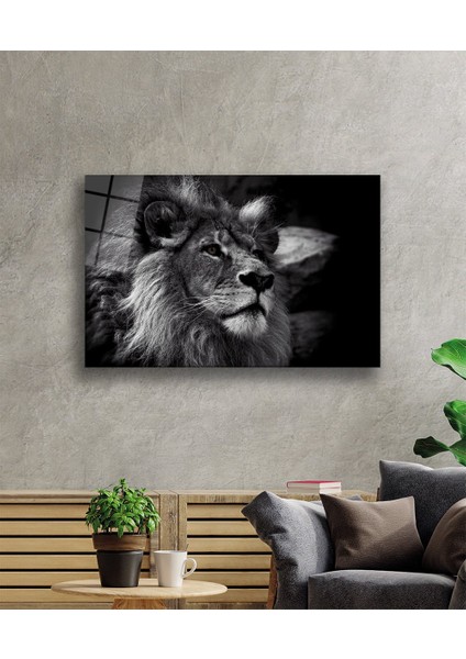 Aslan Hayvan Cam Tablo 4mm Dayanıklı Temperli Cam fiyatları