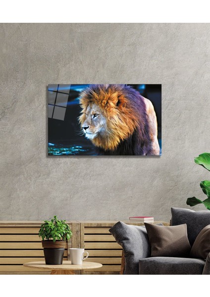Aslan 2 Cam Tablo fiyatları