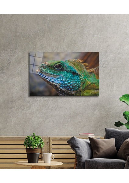 Iguana Cam Tablo fiyatları