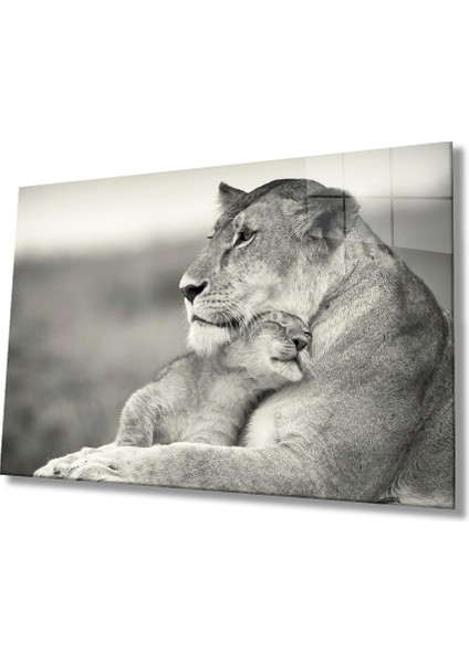 Aslan Hayvan Cam Tablo 4mm Dayanıklı Temperli Cam