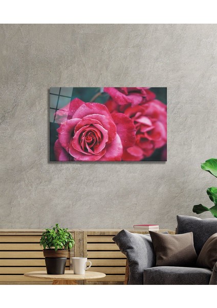 Rose 1 Cam Tablo fiyatları