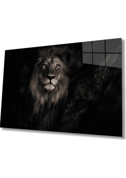 Aslan 25 Hayvan Cam Tablo