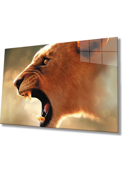 Aslan Hayvan Cam Tablo 4mm Dayanıklı Temperli Cam