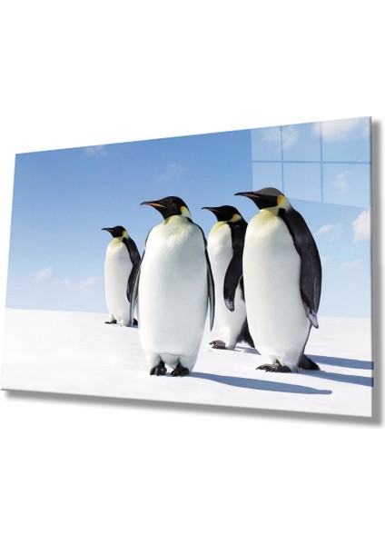 Penguen Hayvan Cam Tablo 4mm Dayanıklı Temperli Cam