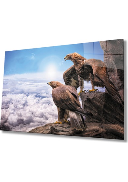 Kartal Hayvan Cam Tablo 4mm Dayanıklı Temperli Cam