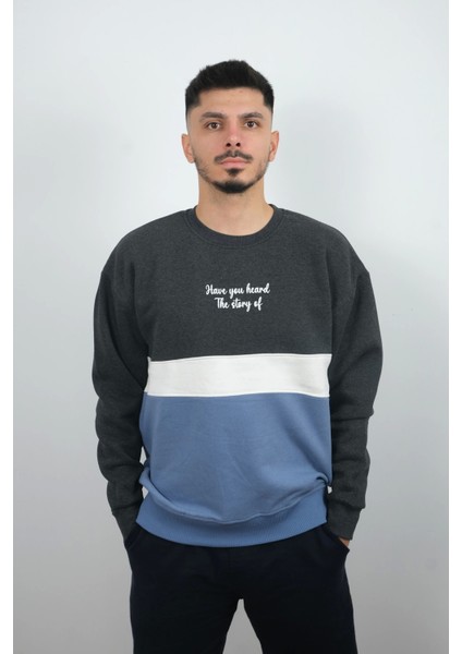 Erkek Sıfır Yaka Çizgili Polar Sweatshirt Story Füme