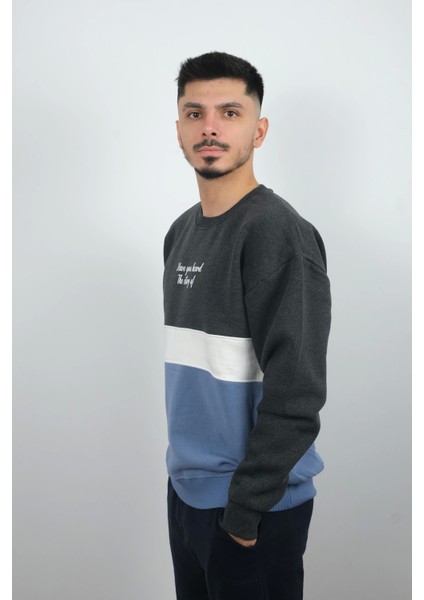 Erkek Sıfır Yaka Çizgili Polar Sweatshirt Story Füme fiyatları