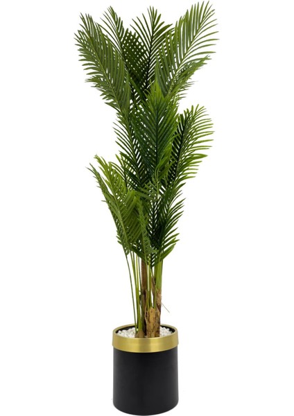 Areka Palmiyesi 220CM Metal Siyah Gold Saksıda