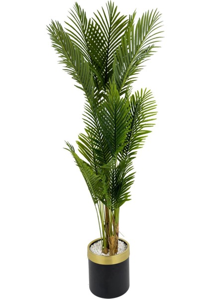 Areka Palmiyesi 220CM Metal Siyah Gold Saksıda fiyatları
