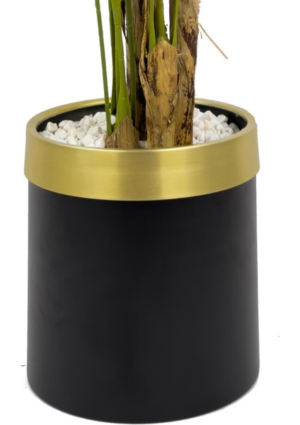 Areka Palmiyesi 220CM Metal Siyah Gold Saksıda modelleri